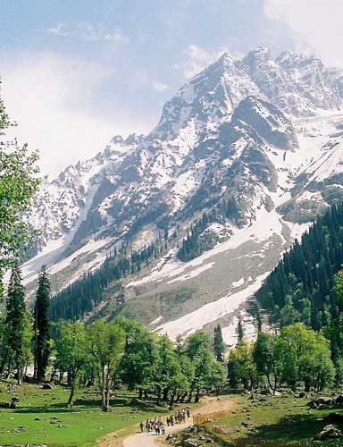 Image Description